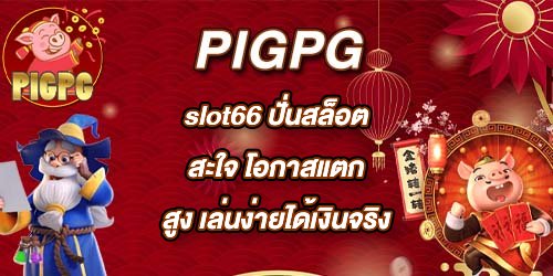 PIGPG slot66